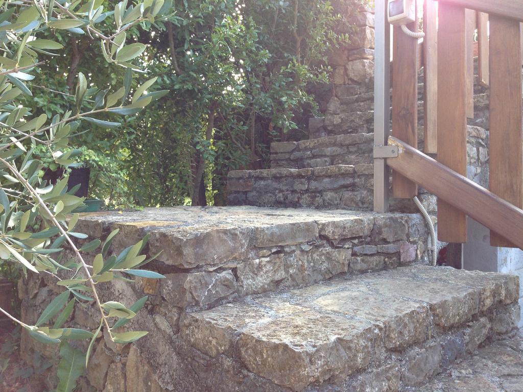 Agriturismo "La Rosa Canina" Acomodação com café da manhã Lerici Exterior foto