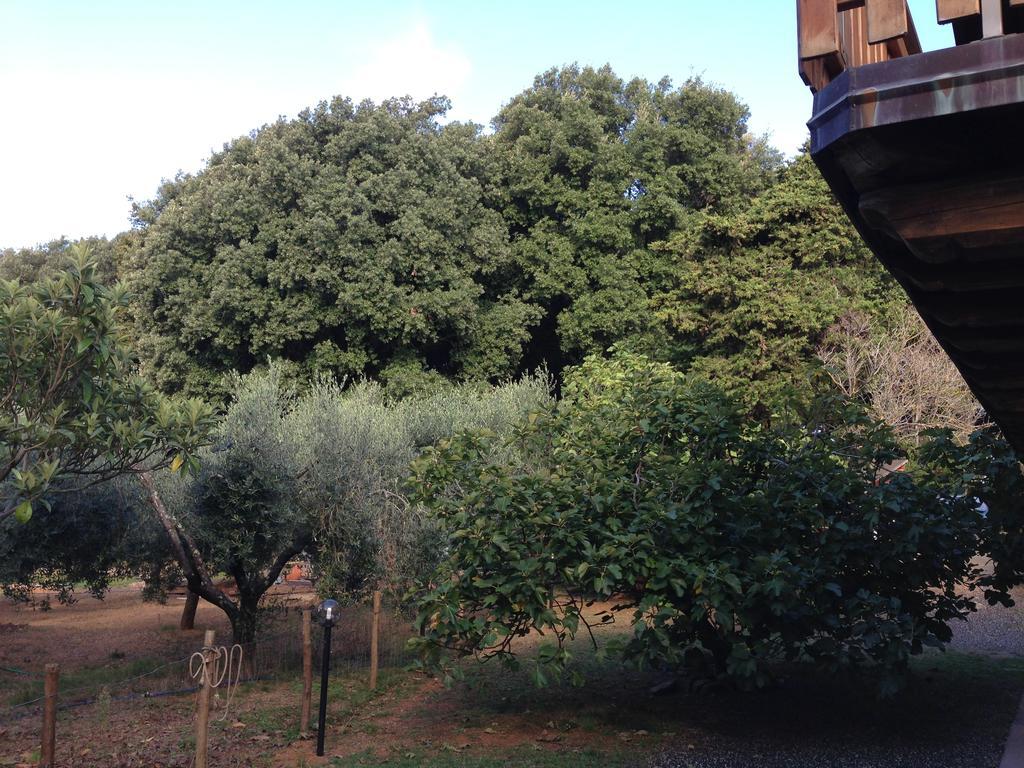 Agriturismo "La Rosa Canina" Acomodação com café da manhã Lerici Exterior foto