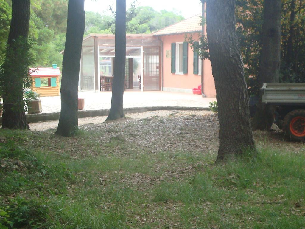 Agriturismo "La Rosa Canina" Acomodação com café da manhã Lerici Exterior foto